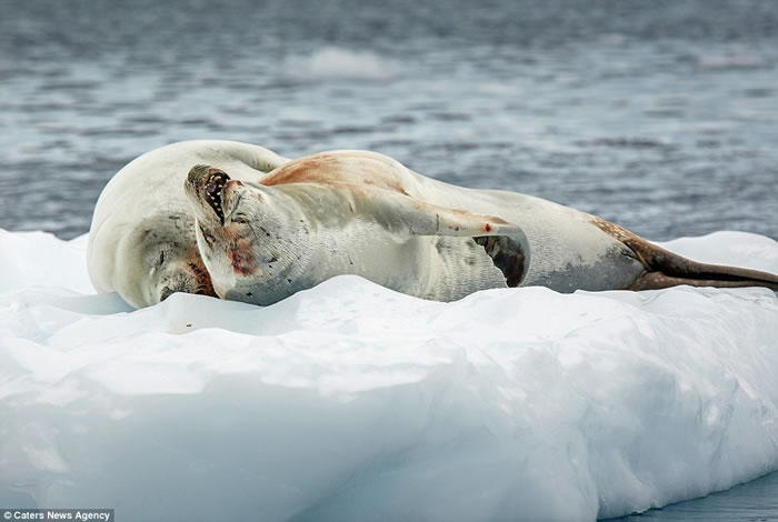 ����������������������ܼ��顣