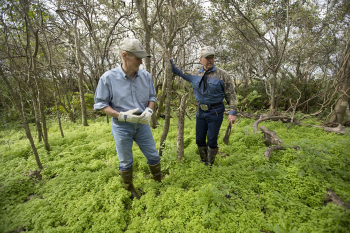 �������������ʪ�ؾ���2016��ȡ��������