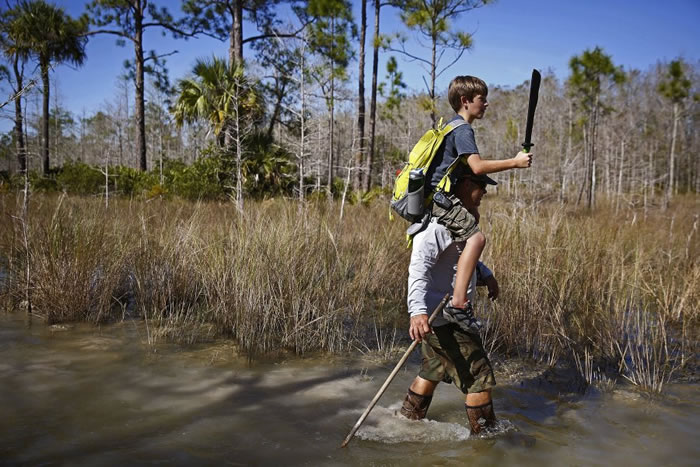 美国佛罗里达州湿地举行2016年度猎蟒活动 