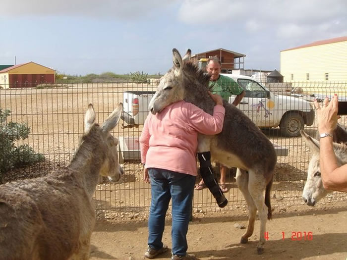 �ػ�������Maroesia��һ���¾��Ǹ���������÷��˿һ����ӵ������