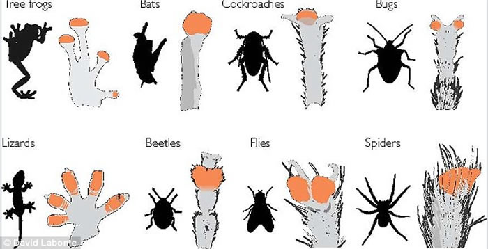 ʹ��ճ�Ե������������������ڲ�ͬ����ߴ�Ķ����н�������