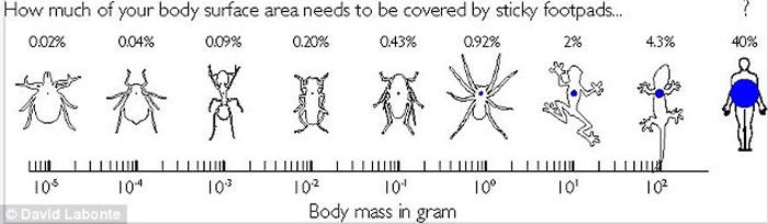 ʹ��ճ�Ե������������������ڲ�ͬ����ߴ�Ķ����н�������