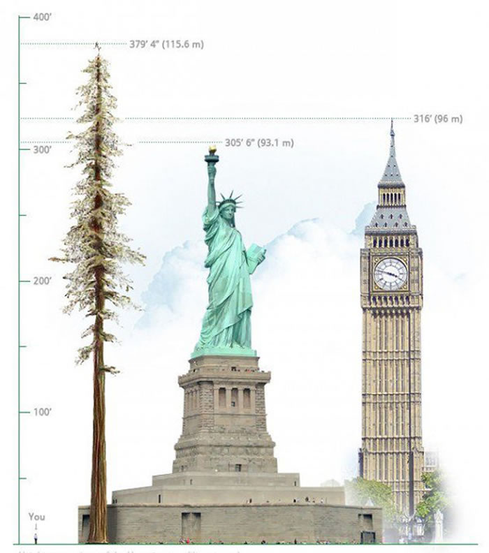 ������ɼ�����ҹ�԰�������ñȡ�ͬ�²���ˡ����ߵ���������������(Hyperion)