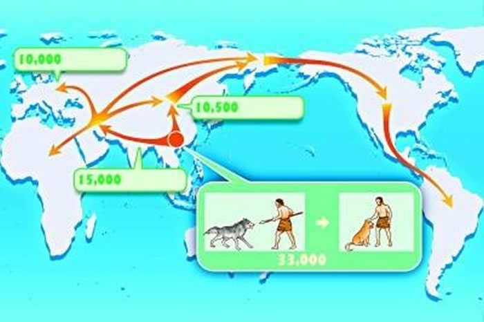 �о�����������Լ3.3����ǰ��ʼ�ڶ����ϲ������𽥱�����ѱ��