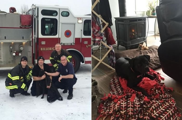 ������ɫ��������׷��������������ǰ�ų�����������