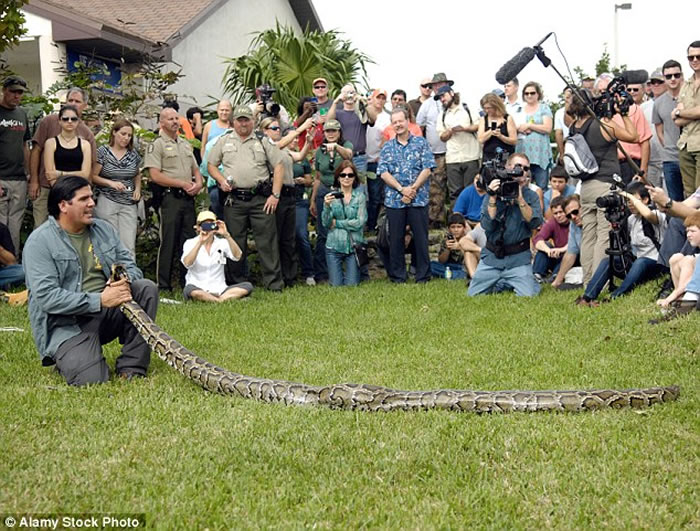 �������������չ��2016����������Python Challenge�� ����600����Ľ������