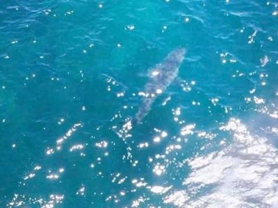 阿曼穆桑代姆半岛岩壁上的攀岩者 - 神秘的地球