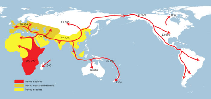 早期人类迁徙地图.智人(红色),穴居人(黄绿色),早期原始人类(黄色).