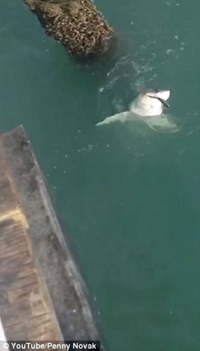 �������ӵ����Ȼ��������� ֻ�õ�����������