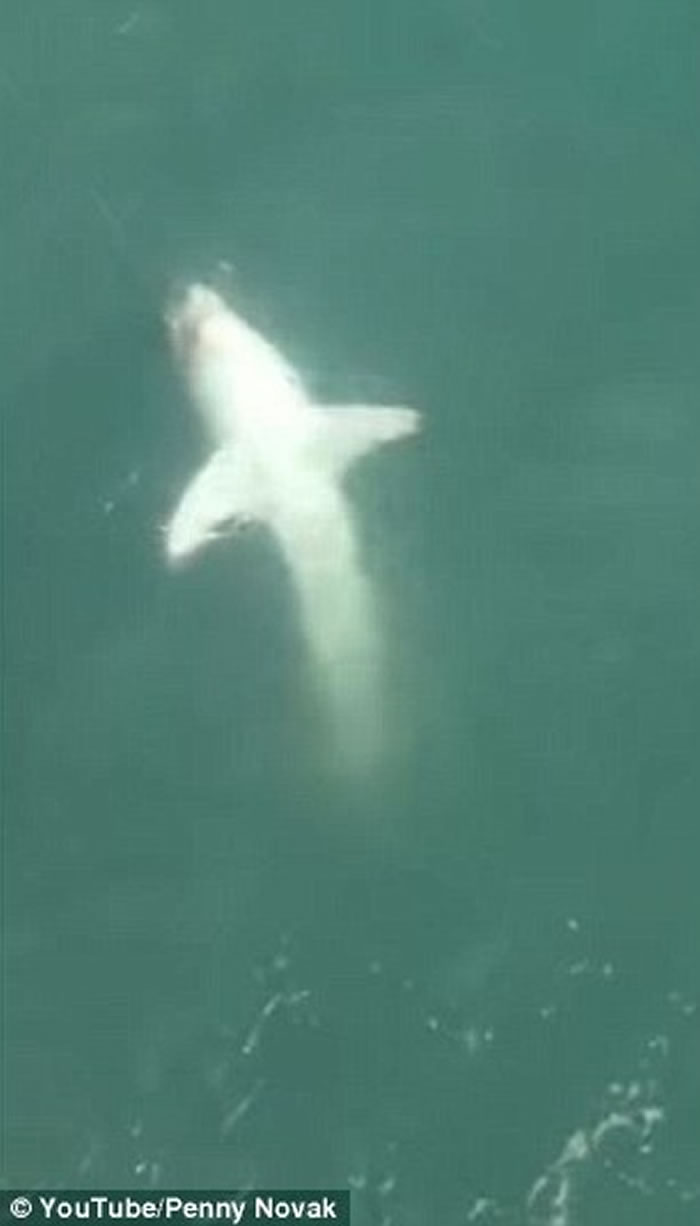 �������ӵ����Ȼ��������裬ֻ�õ�����������