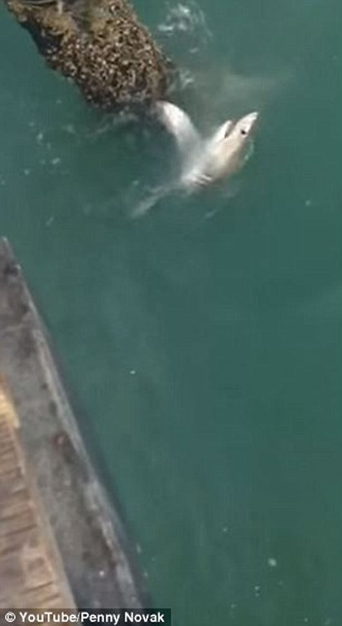 �������ӵ����Ȼ��������裬ֻ�õ�����������