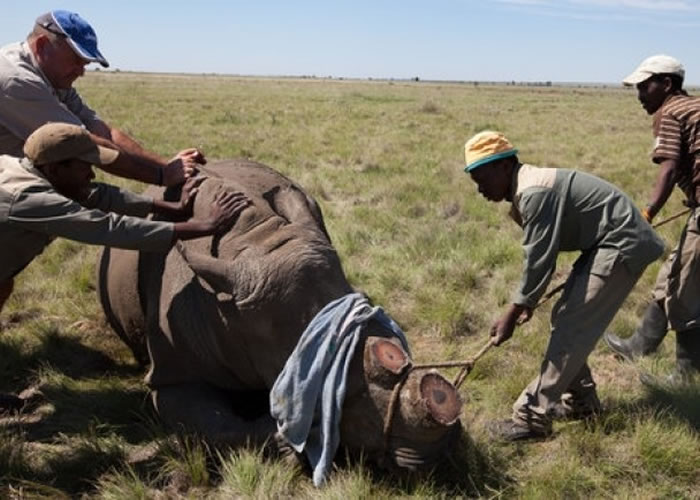 �Ϸǲ���Ϭţ��������ء�