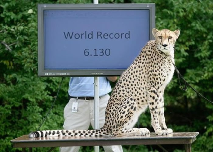 萨拉早前的旧纪录为6.13秒。