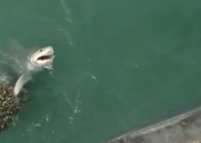 美国男子同时钓到两条鱼 不过其中一条竟是大