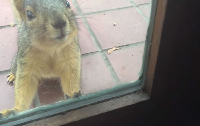 ����Ƥ��������Ҫ���� û���������ڴ����