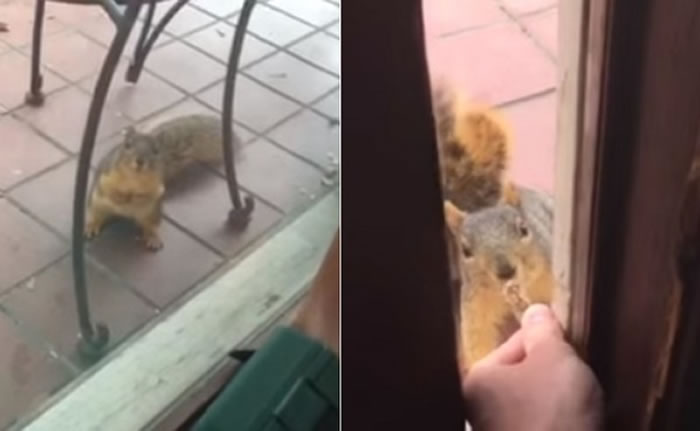 ����Ƥ��������Ҫ������û���������ڴ����