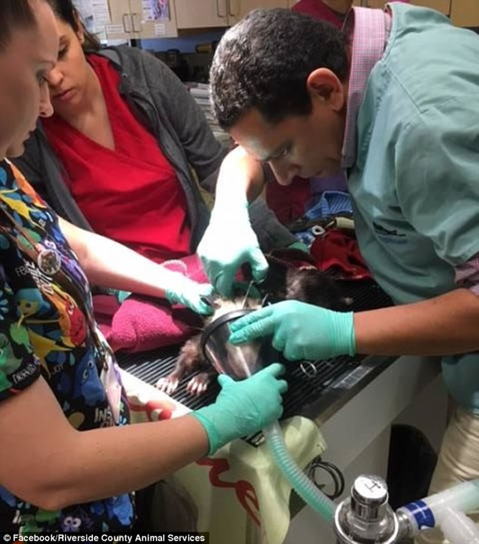 ��������������Ժ����