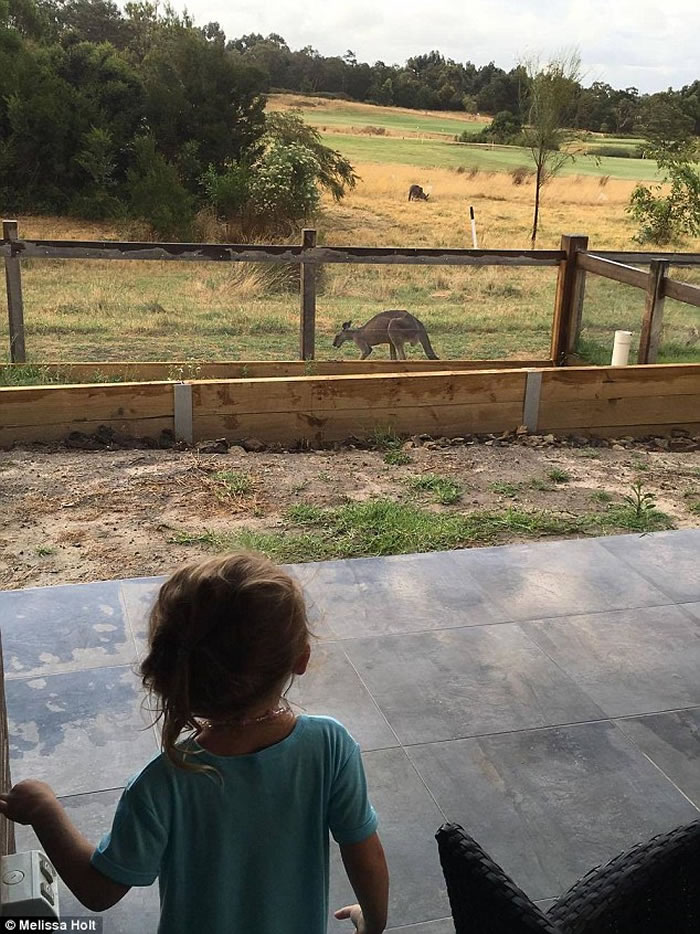 �Ĵ�����ī�����������ء����֡� ����������Ϯ