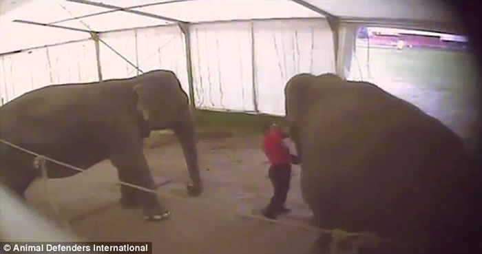 ��Ӣ��Ϸ��ѱ��ʦӢ��Ѳ��ʱŰ���������𹫷�