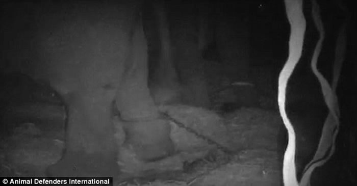 ��Ӣ��Ϸ��ѱ��ʦӢ��Ѳ��ʱŰ���������𹫷�