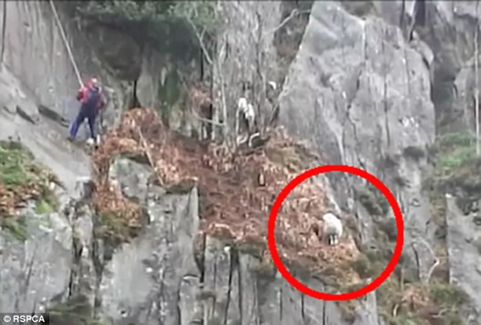 ӢɽվҼ ԮС鶥űѩ֮ȳ