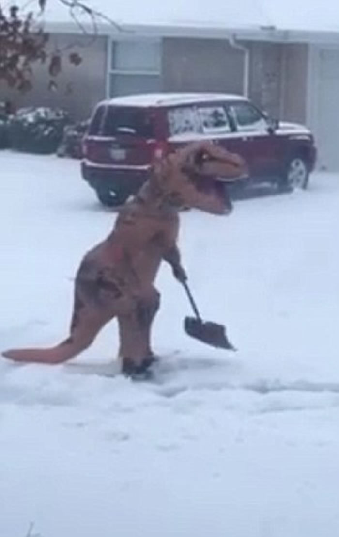 �������ڻ����ɱ����������ѩ