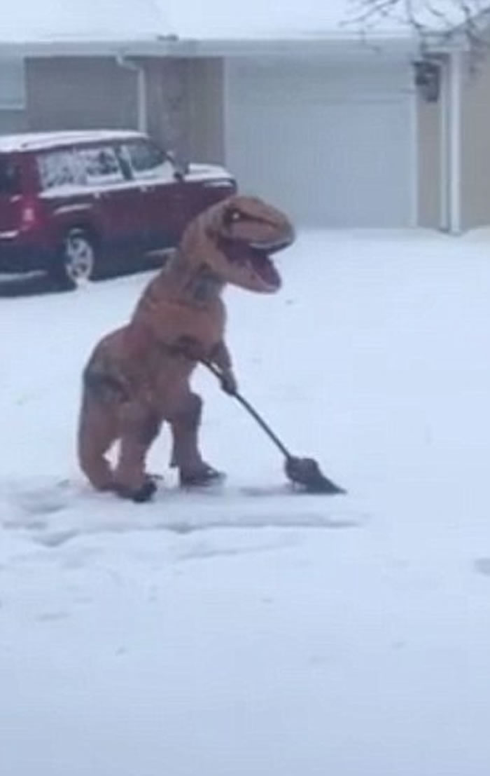 �������ڻ����ɱ����������ѩ