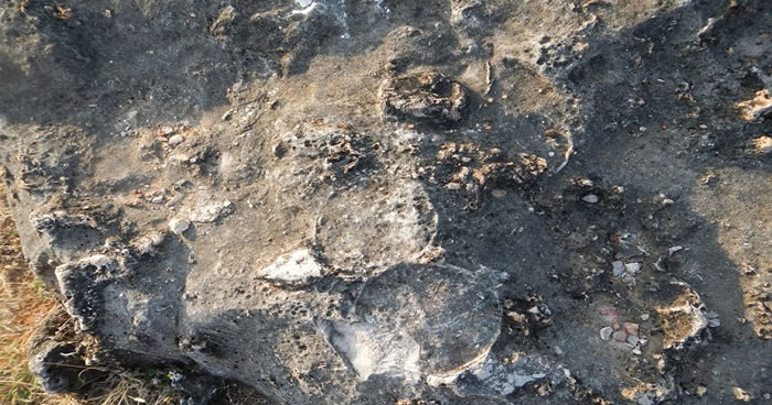 ӡȡ٪޼͹԰żذֶʯ