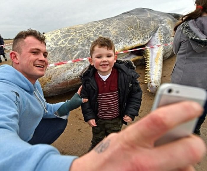 һ�Ը����Ծ�ʬ���������ġ�