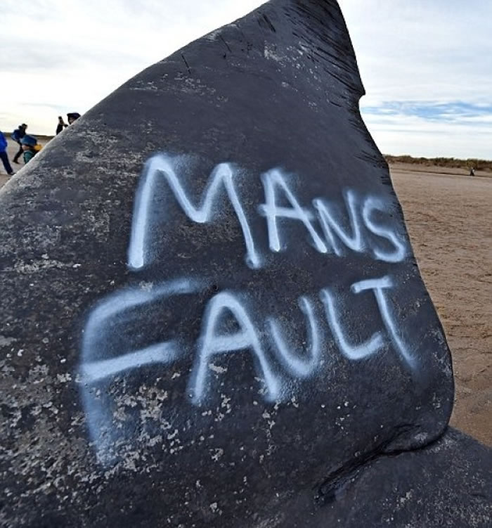 ����д�ϡ�����Ĵ�����