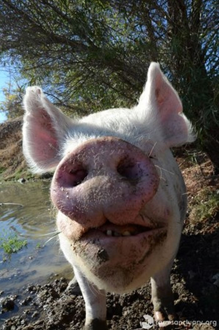 �������ﱣ��ũ���ȳ���������ֳ�õ�ĸ�� ԭ��һ���Ӷ�ֻ������С������