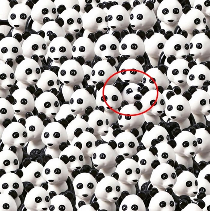 乐高狗就是藏身在此。