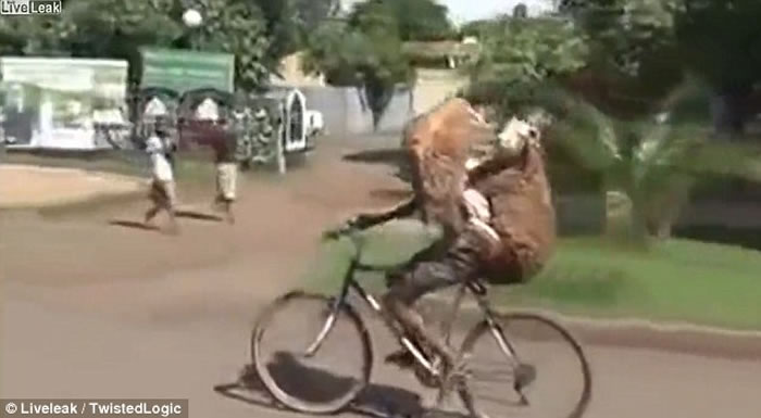 ��ֻɽ���ס��������˳�糵