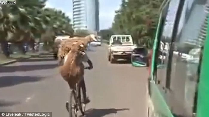 ��ֻɽ���ס��������˳�糵