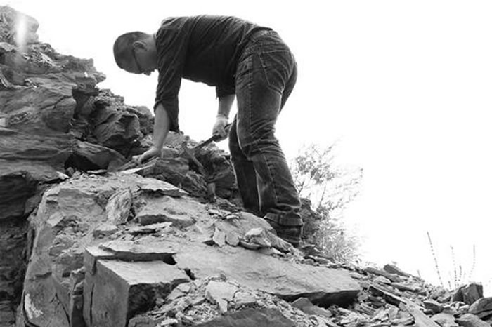 “化石猎人”正在进行野外采集