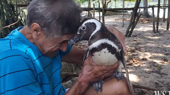 ����С����л�ϴ�ү����֮�� ����ͬ�鱼����������