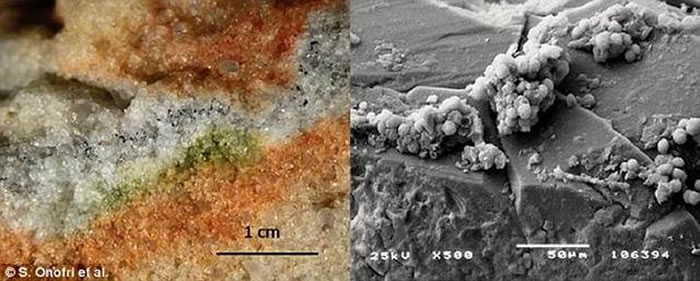 �ϼ�����������ܹ��ڹ��ʿռ�վ���18���� ��ʾ���Ǳ������������������ʽ