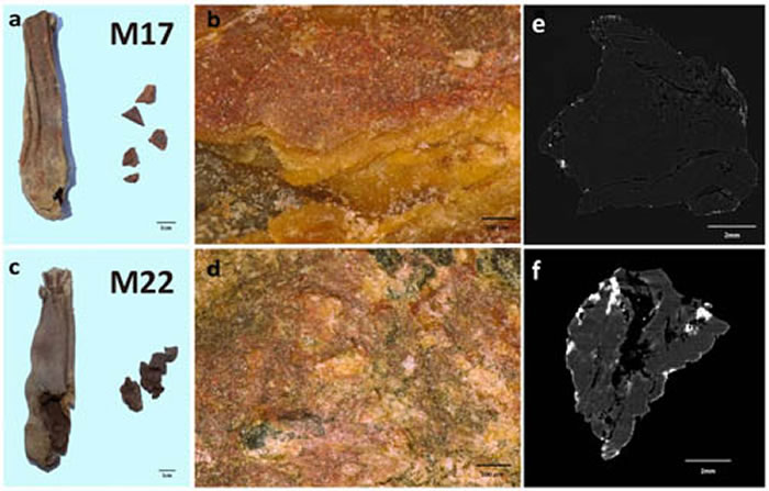 检测样品及CT扫描结果 (a). M17出土皮囊及内装化妆棒;(b). M17化妆棒的表面形貌;(c). M22出土皮囊及内装化妆棒;(d). M22化妆棒的表