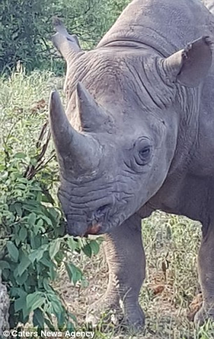 �Ϸǿ�³����ҹ�԰Ϭţ����������Ӱʦ