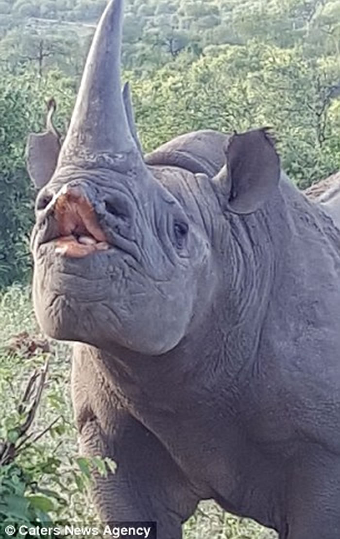 �Ϸǿ�³����ҹ�԰Ϭţ����������Ӱʦ