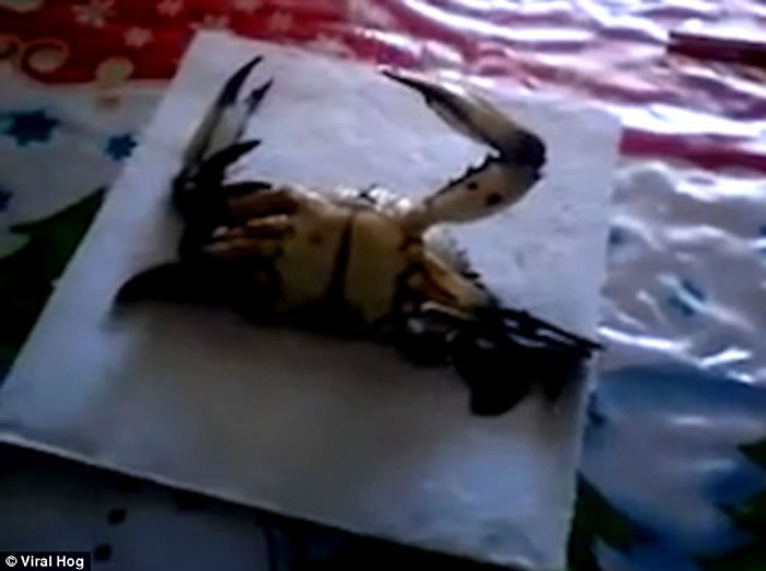 �з����𻭱��ߺ� ����Ϊ������ʩ������