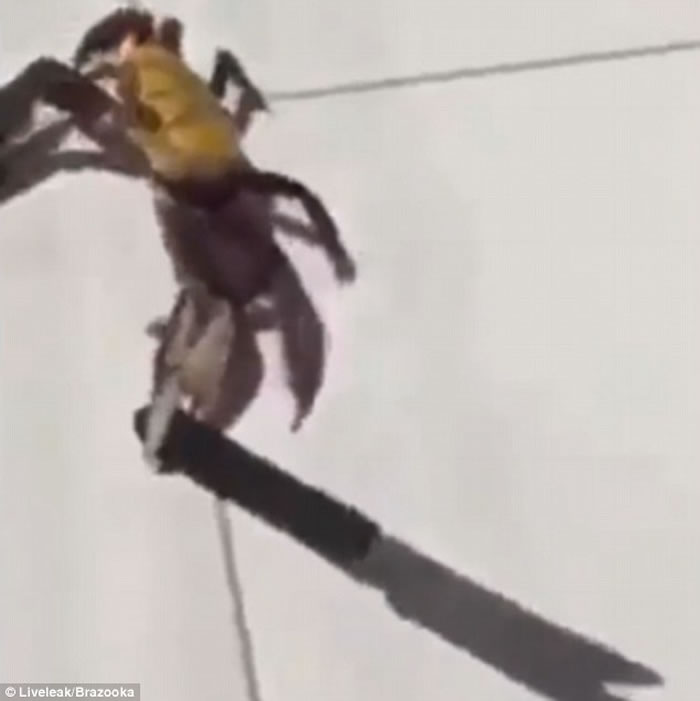 һֻзӵҪζȵĳʦߺ