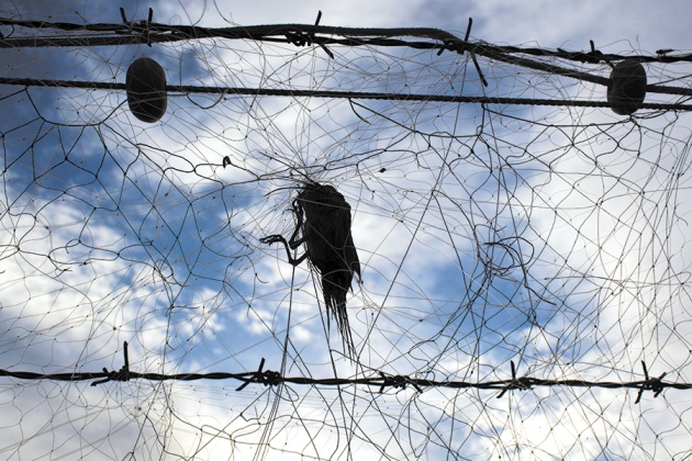 �����ڷ���ͨ����������׽���������