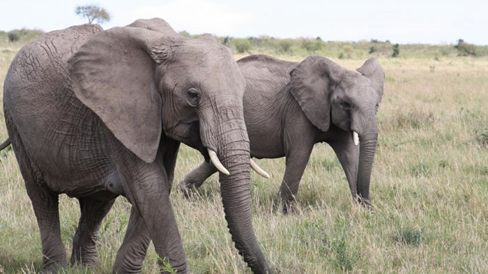 ���󲻻��� ԭ��û��Ҫ