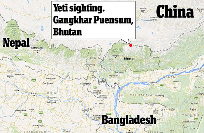 ɽSteve BerryϲɽֹϵҰޡҹۡ( yeti)ӡ