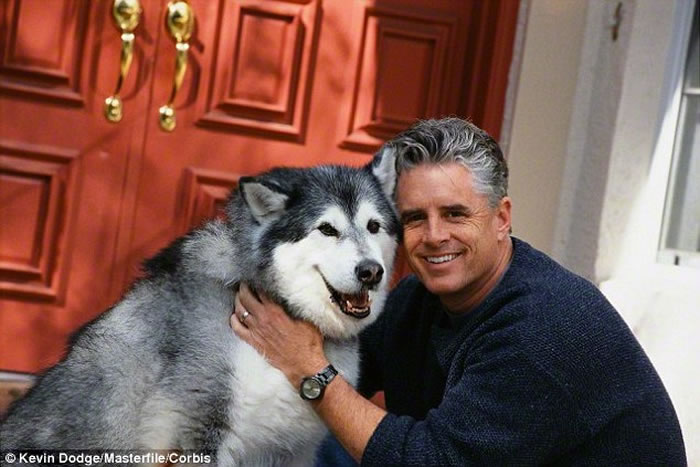 研究指出饲养小狗的主人比养猫的人开心、勤恳