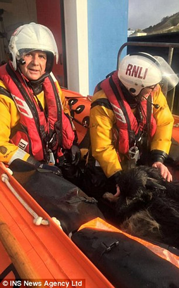 Ӣһֻ¹ȮStormΪ׷Ÿº1.6Զ