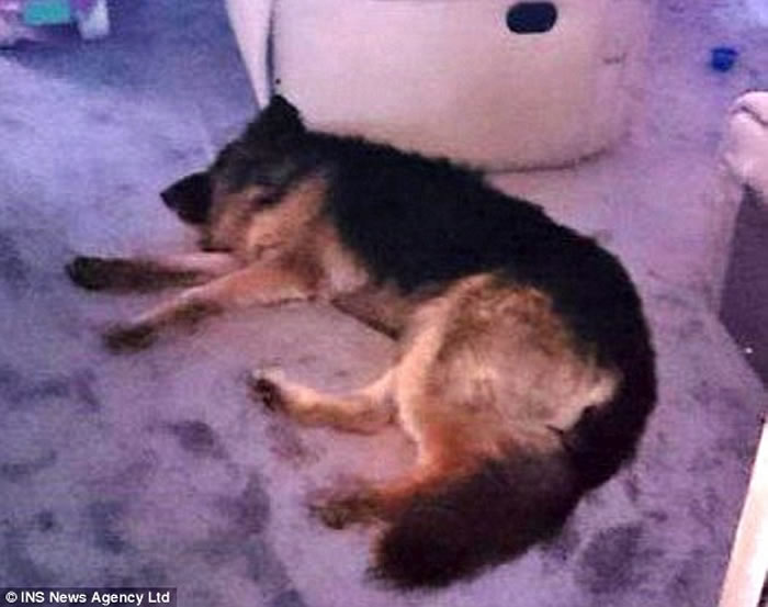 Ӣһֻ¹ȮStormΪ׷Ÿº1.6Զ