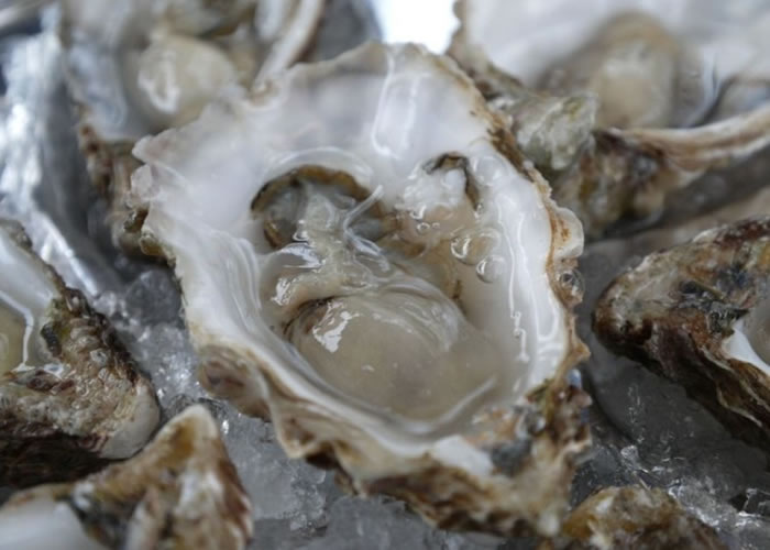 太平洋蚝死亡症候群在塔斯马尼亚省爆发,导致当地数以百万计的蚝死亡。