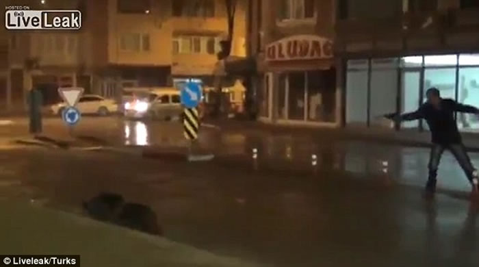 一名男子用电枪将棕熊制服。